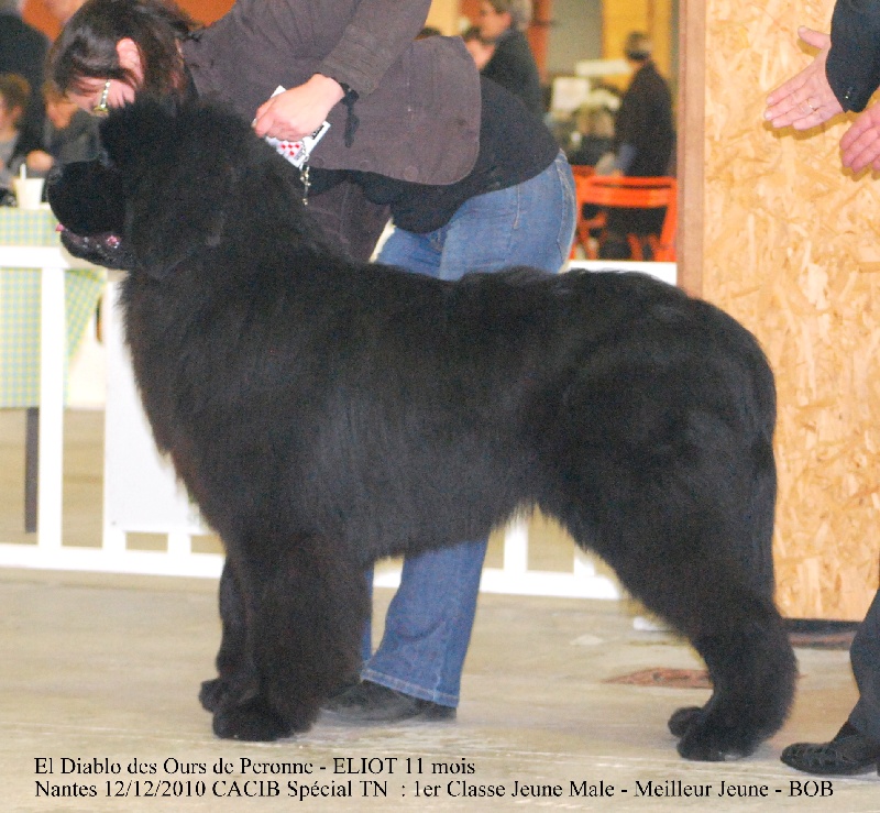 El diablo des Ours de Peronne